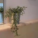 Residenza Tazzoli By Pentagono Residenze شقة